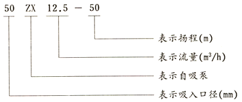 大东海泵业自吸离心泵结构图