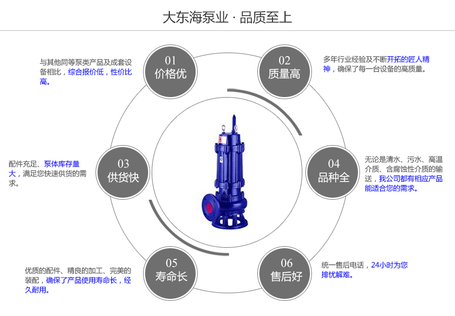 大东海泵业无堵塞排污泵质量保证图