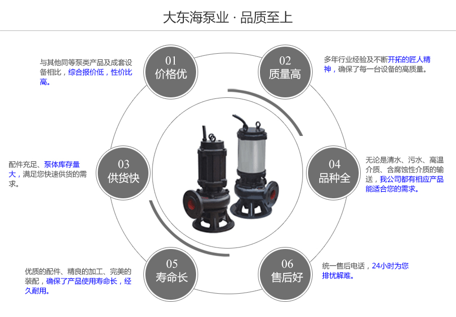 大东海泵业wq型排污泵质量保证图