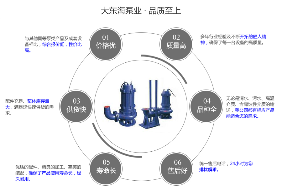 大东海泵业wq型工程污水泵质量保证图